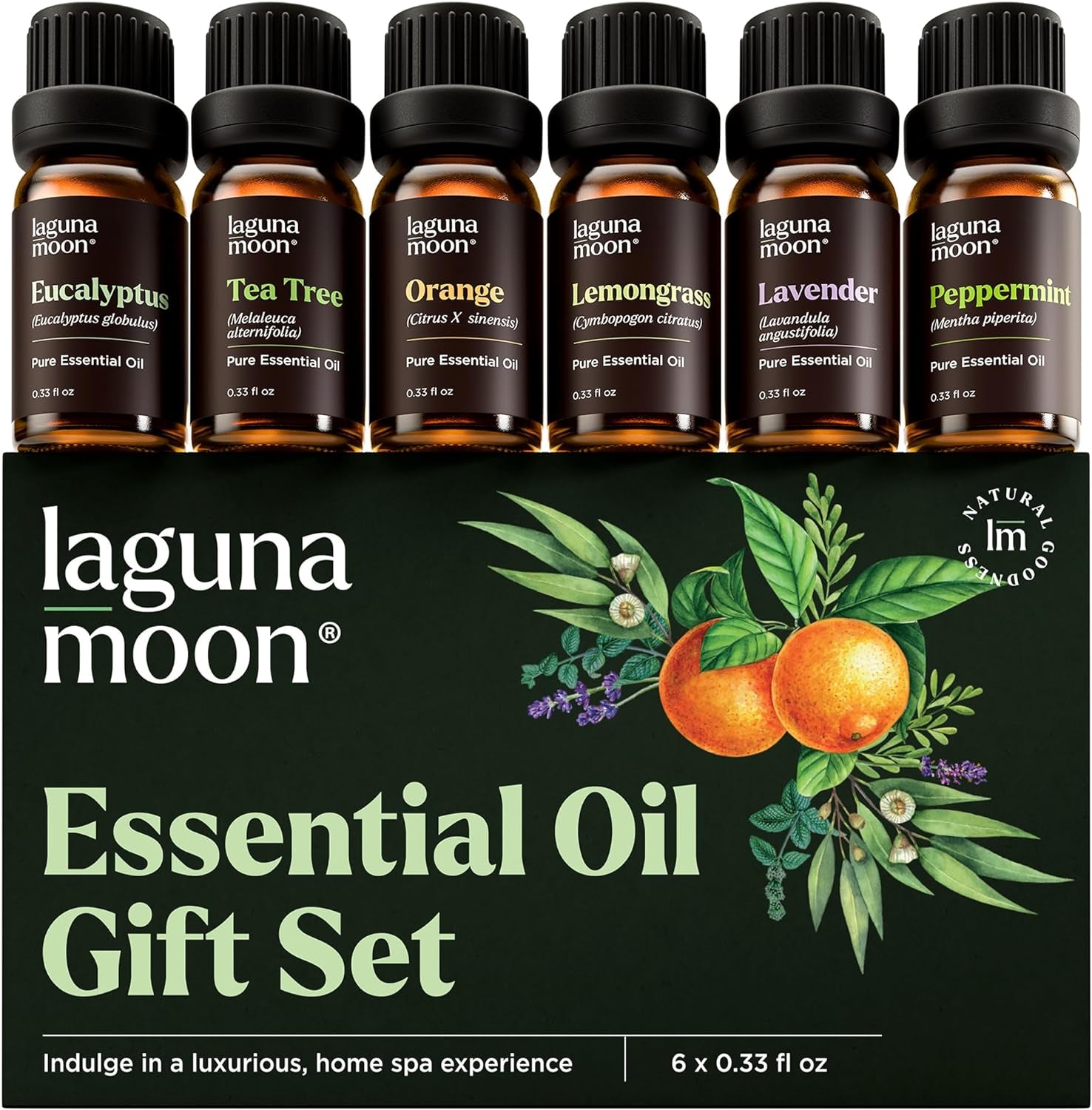 Essential Oils Set - Top 6 Blends for Diffusers (10Ml)