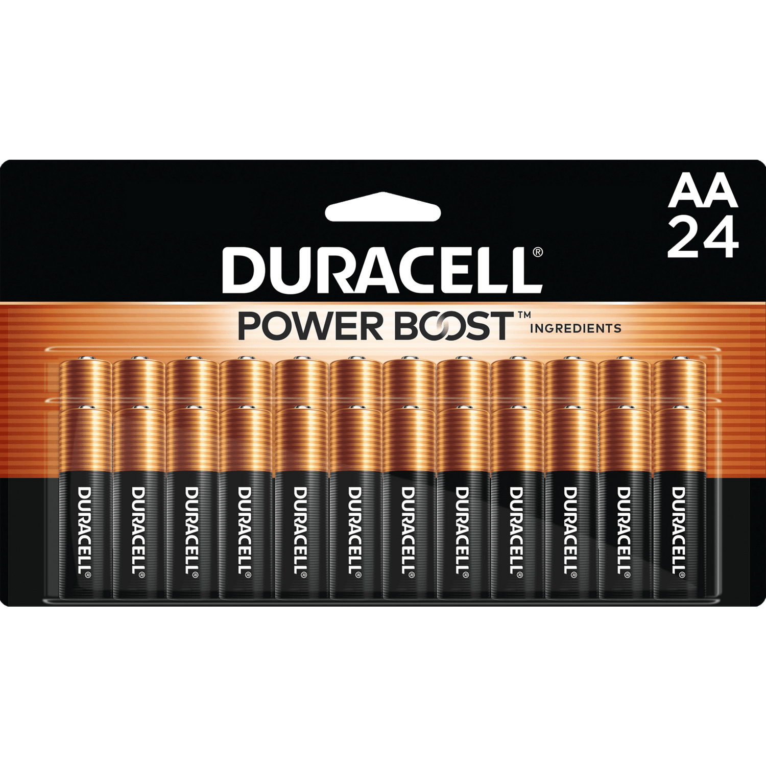 AA Batteries