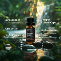 Essential Oils Set - Top 6 Blends for Diffusers (10Ml)