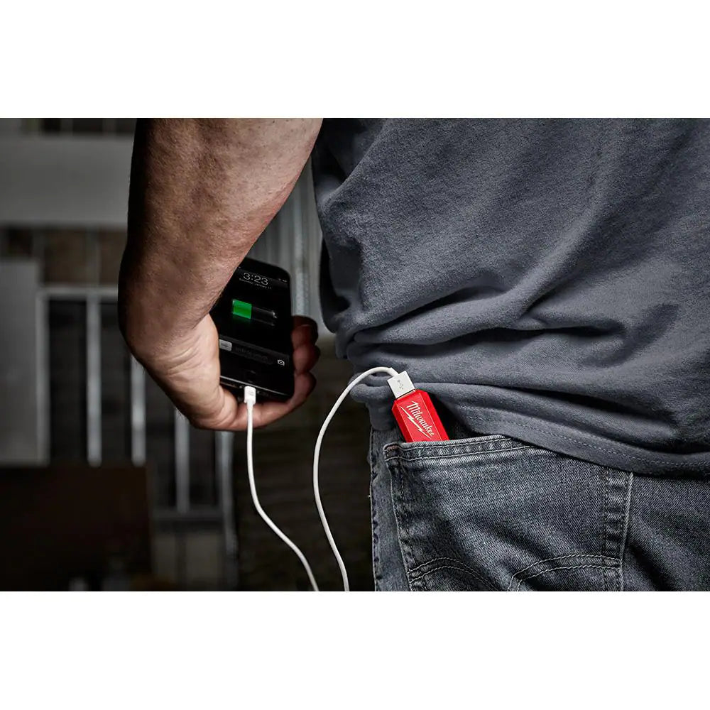 REDLITHIUM USB Charger and Portable Power Source Kit