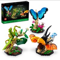 The Insect Collection, Fun Gift for Nature Lovers, Bug Building Set