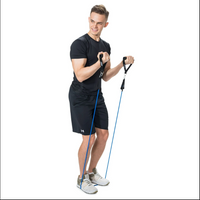 Home Gym Resistance Bands (Set of 11) with Carry Bag and Jump Rope