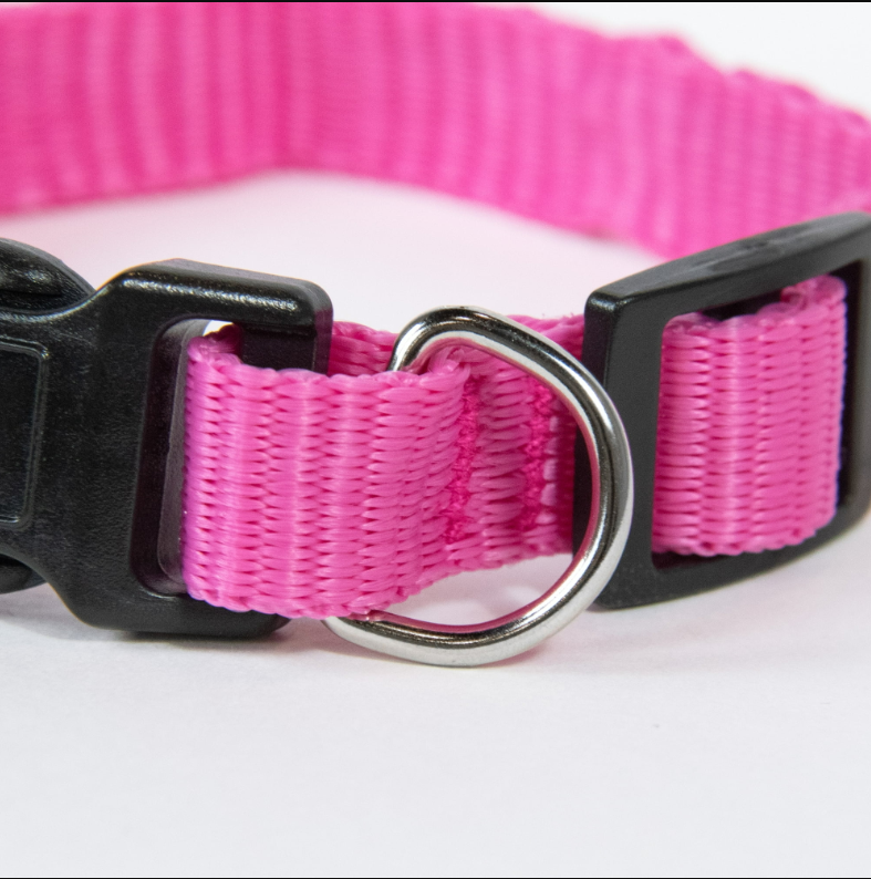 Pet Champion Medium Pink Collar for Dogs