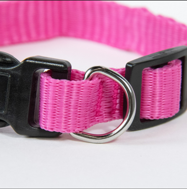 Pet Champion Medium Pink Collar for Dogs