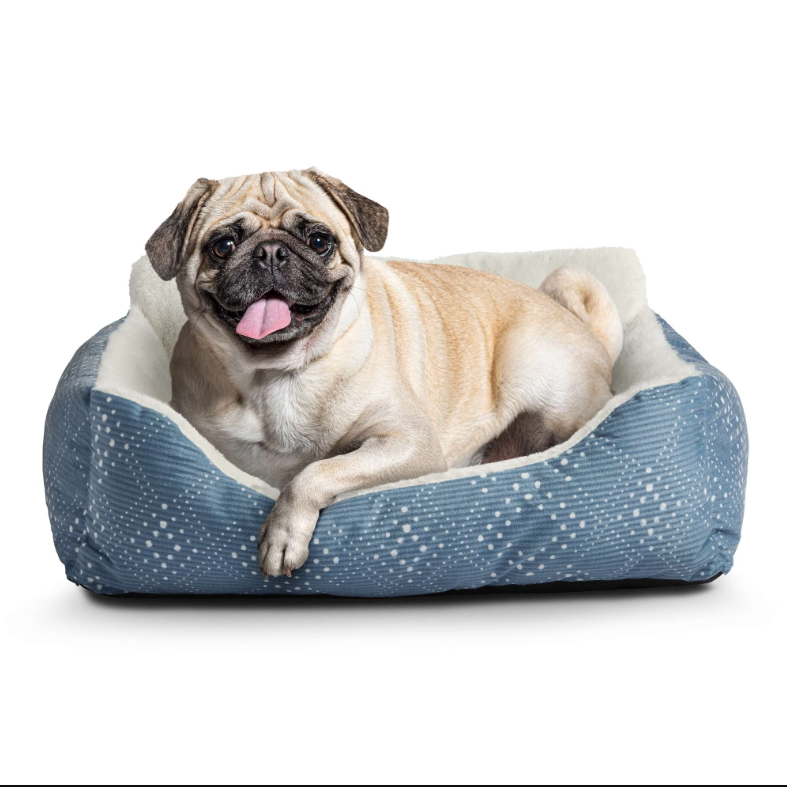 Vibrant Life Lounger Small Dog or Cat Bed, 21" x 17"