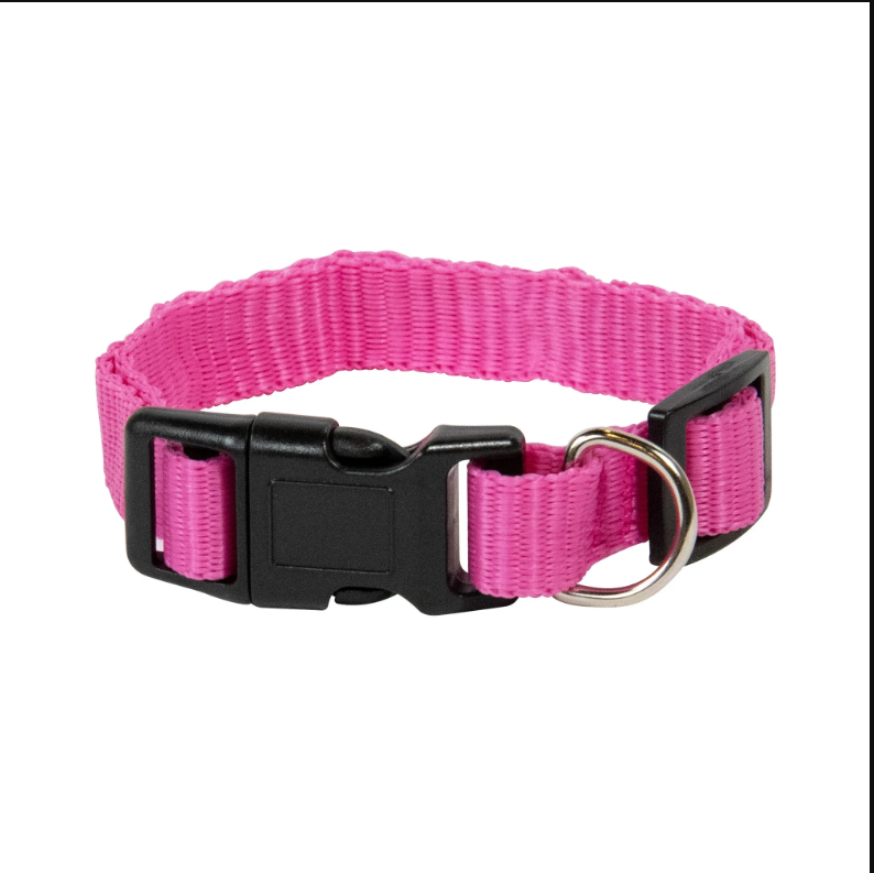 Pet Champion Medium Pink Collar for Dogs