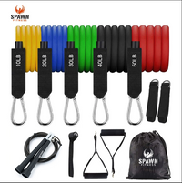 Home Gym Resistance Bands (Set of 11) with Carry Bag and Jump Rope