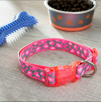 Vibrant Life Dog Collars, Size Large