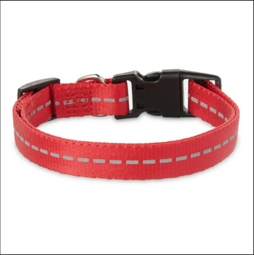 Vibrant Life Reflective Polyester Adjustable Dog Collar