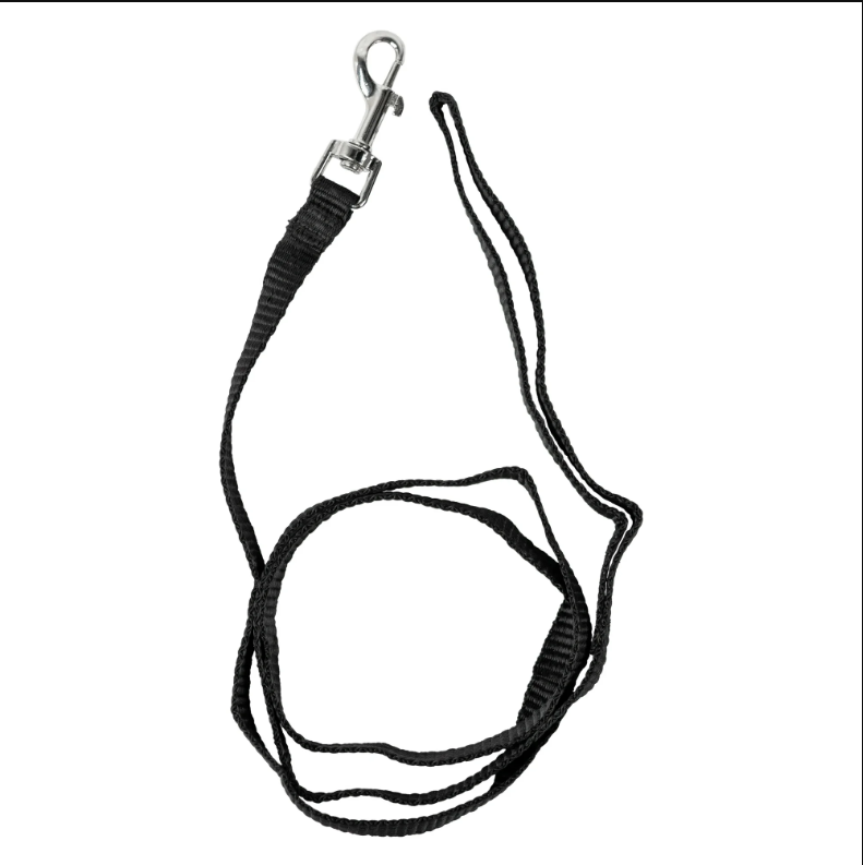 Pet Champion 4' Metal Standard Dog Leash