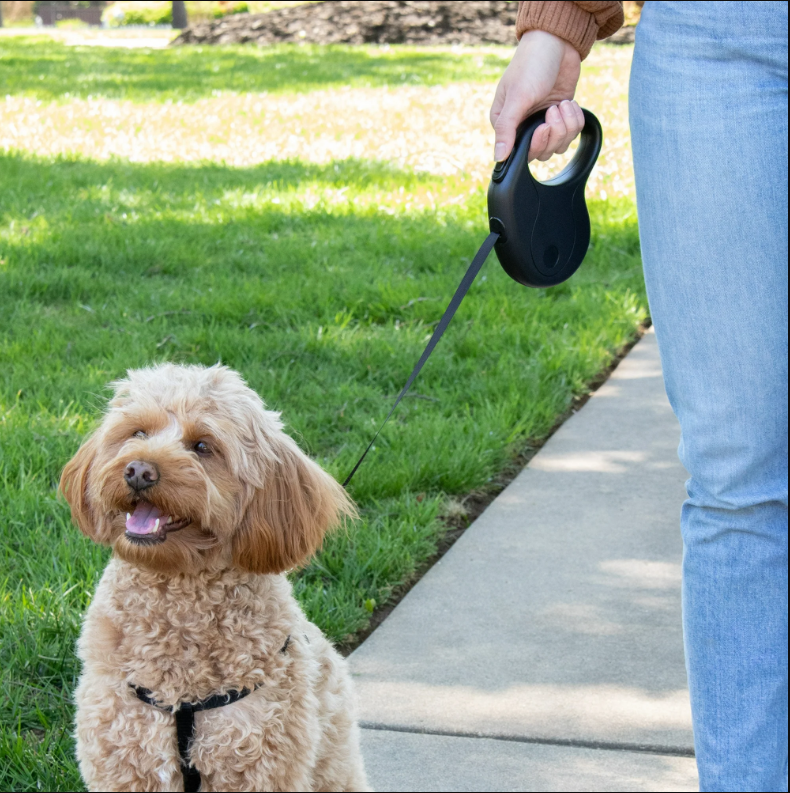 16' Plastic, Metal & Polyester Retractable Dog Leash