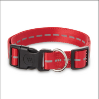 Vibrant Life Reflective Polyester Adjustable Dog Collar