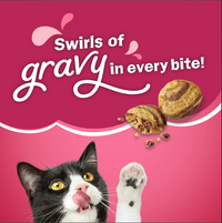 Purina Friskies Gravy Swirlers, Indoor Dry Cat Food, 16 lb Bag