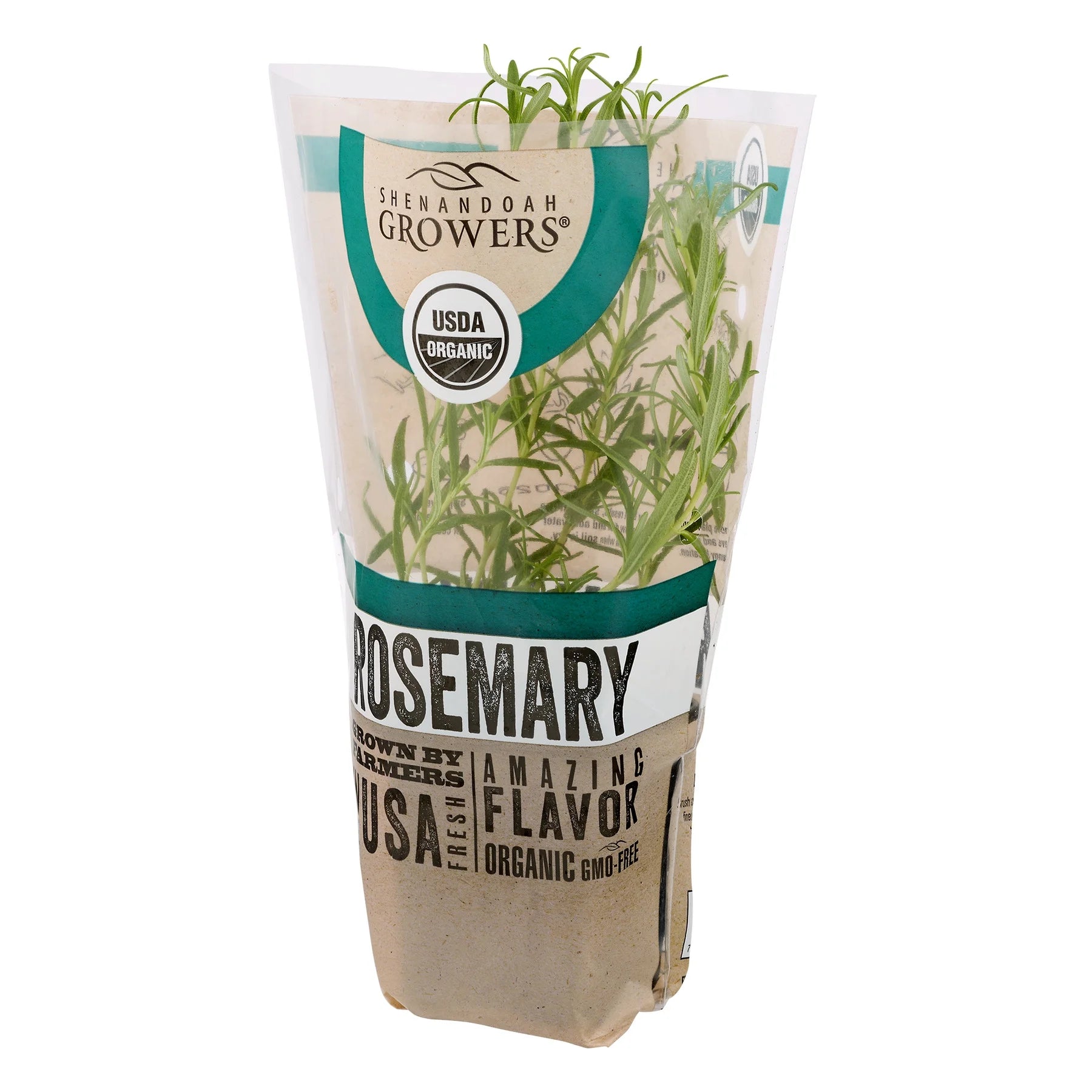 Organic Potted Rosemary Green Live Plant, 1 Each