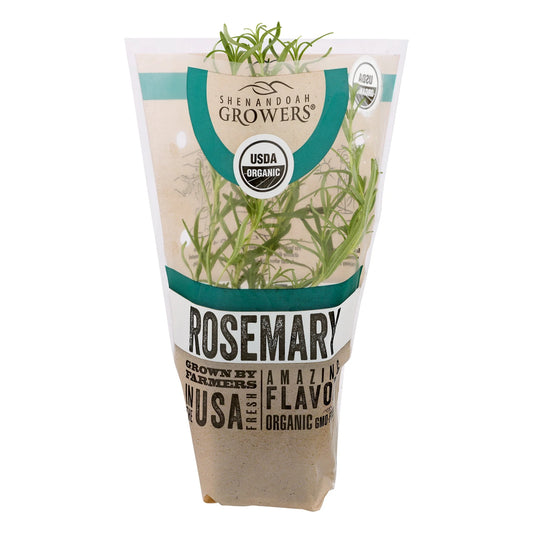 Organic Potted Rosemary Green Live Plant, 1 Each